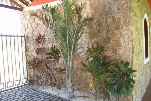 Flat La Fazenda image 16